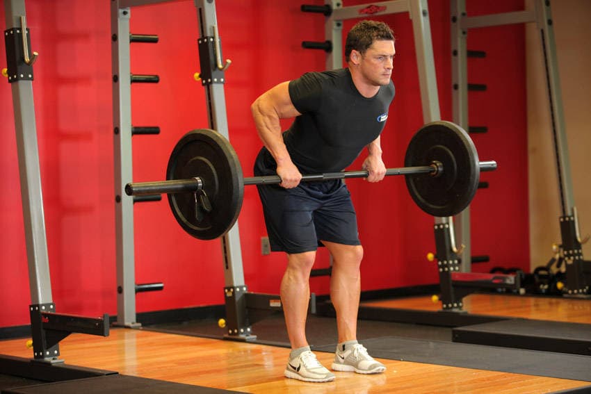 Barbell row: Bar to the abdomen