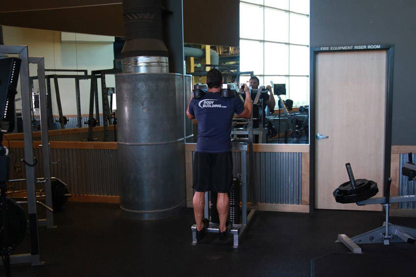Calf raise: Bottom