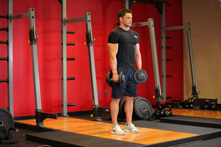 Dumbbell Romanian deadlift: Top