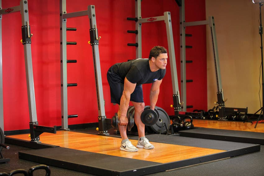 Dumbbell Romanian deadlift: Bottom