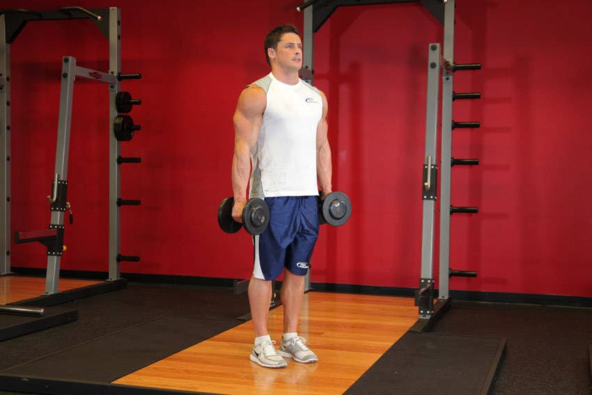 Dumbbell hammer curl: Bottom