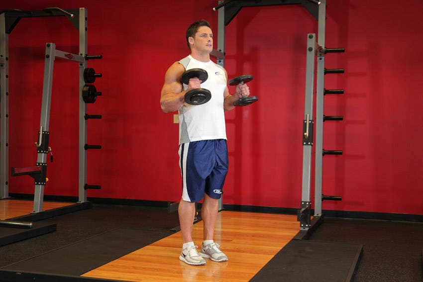 Dumbbell hammer curl: Top