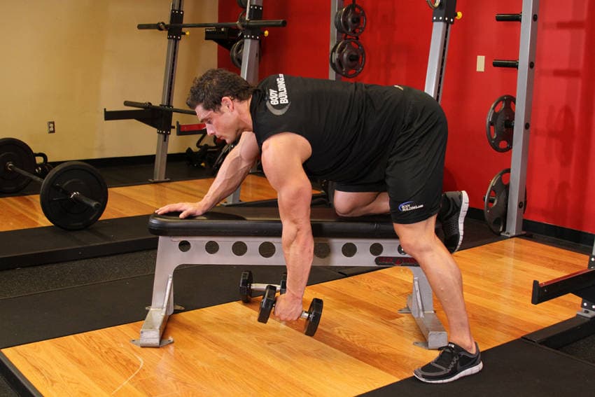One-arm dumbbell row: Arm straight