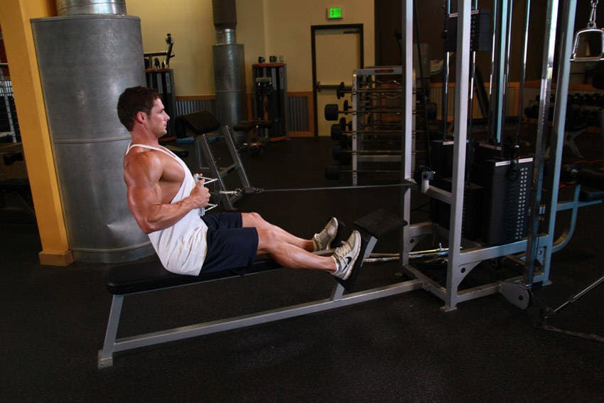 Seated cable row: Handle to the abdomen