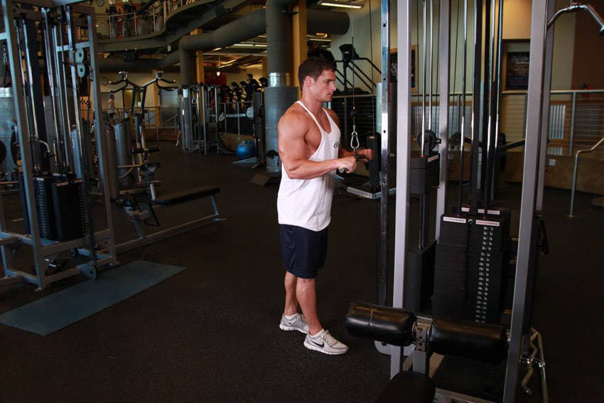 Cable triceps pushdown: Top