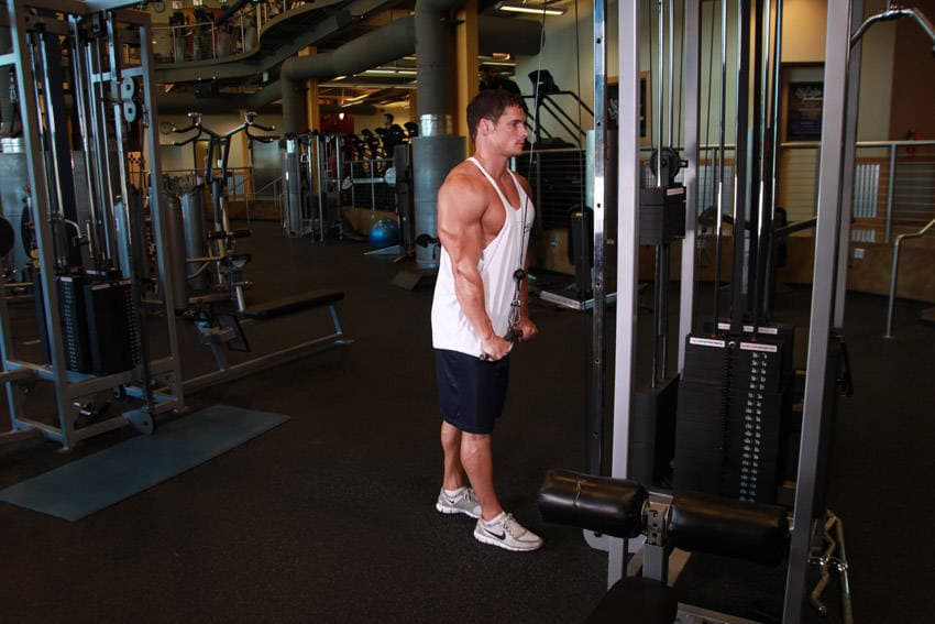 Cable triceps pushdown: Arms straight