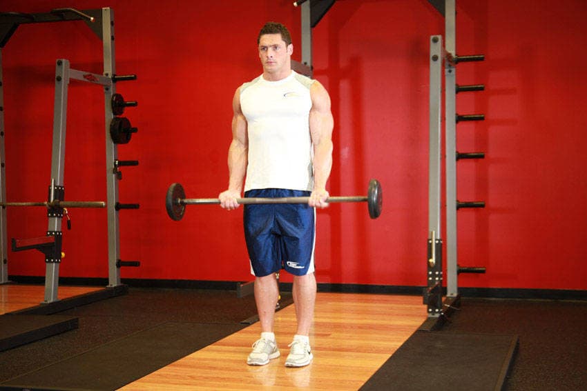 Barbell curl: Bottom